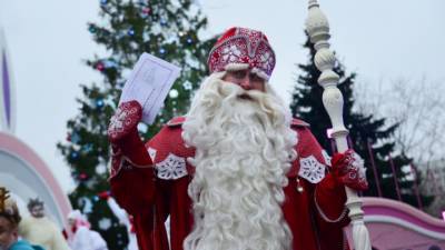 Светлана Сметанина - На Новый год дети могут остаться без Деда Мороза и Снегурочки - vesti.ru - Москва