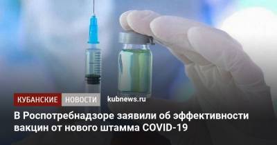 Анна Попова - В Роспотребнадзоре заявили об эффективности вакцин от нового штамма COVID-19 - kubnews.ru - Англия