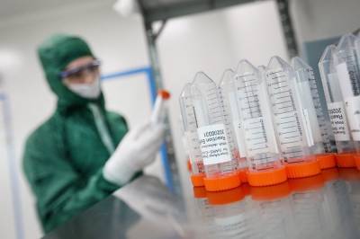 Анна Попова - В России обнаружили 1 424 мутации коронавируса - tvc.ru - Россия - Англия