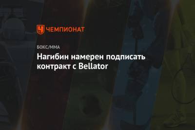 Нагибин намерен подписать контракт с Bellator - championat.com