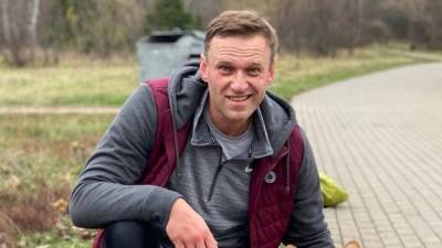 Алексей Навальный - Статистика "Яндекса" опровергла наличие интереса к Навальному у россиян - nation-news.ru
