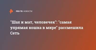 "Шах и мат, человечек": "самая упрямая кошка в мире" рассмешила Сеть - ren.tv