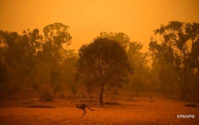 Пожары, потопы, саранча. Катастрофы 2020 года - korrespondent.net - Австралия