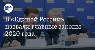 В «Единой России» назвали главные законы 2020 года - ura.news - Россия