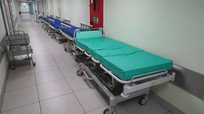 В Москве за сутки умерли 73 пациента с COVID-19 - iz.ru - Москва - Израиль