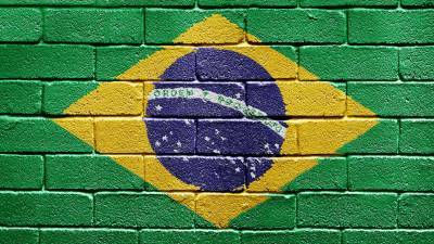 В Бразилии обнаружен новый штамм коронавируса - gazeta.ru - Бразилия - Рио-Де-Жанейро