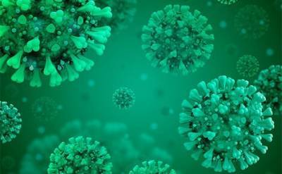 Новые мутации коронавируса обнаружили в Бразилии и Дании - echo.msk.ru - Бразилия - Дания - Рио-Де-Жанейро