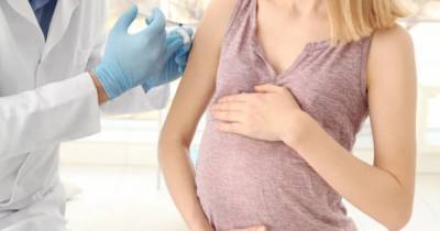 Ученые рассказали, безопасно ли прививаться от коронавируса при беременности - focus.ua