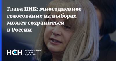 Элла Памфилова - Глава ЦИК: многодневное голосование на выборах может сохраниться в России - nsn.fm - Россия