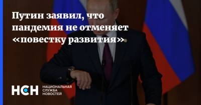 Владимир Путин - Путин заявил, что пандемия не отменяет «повестку развития» - nsn.fm - Россия