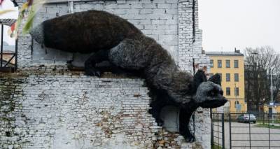 В центре Риги появилась огромная лисица: откуда она взялась? - lv.sputniknews.ru - Латвия - Рига