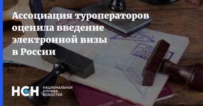 Ассоциация туроператоров оценила введение электронной визы в России - nsn.fm - Россия