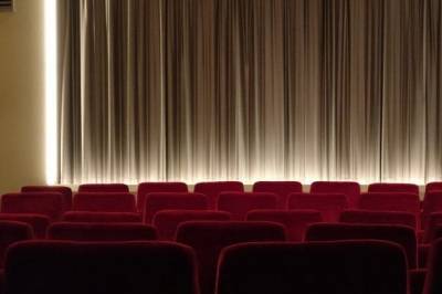 Госсовет Франции одобрил закрытие театров и кинотеатров из-за коронавируса - aif.ru - Франция