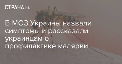 В МОЗ Украины назвали симптомы и рассказали украинцам о профилактике малярии - strana.ua - Украина