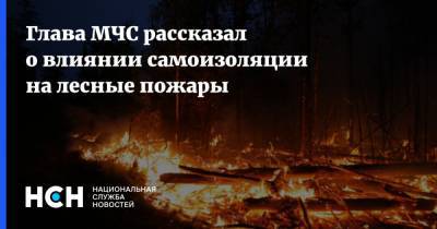 Евгений Зиничев - Глава МЧС рассказал о влиянии самоизоляции на лесные пожары - nsn.fm - Россия - округ Южный