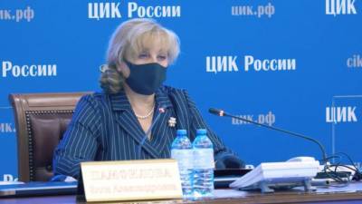 Элла Памфилова - Эксперт прокомментировал перенос электронного голосования на 2024 год - piter.tv - Россия