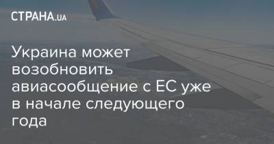 Владислав Криклий - Украина может возобновить авиасообщение с ЕС уже в начале следующего года - strana.ua - Украина - Евросоюз
