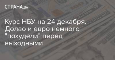 Курс НБУ на 24 декабря. Долао и евро немного "похудели" перед выходными - strana.ua