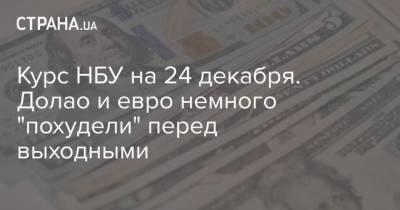 Курс НБУ на 24 декабря. Долао и евро немного “похудели” перед выходными - cryptos.tv - Украина