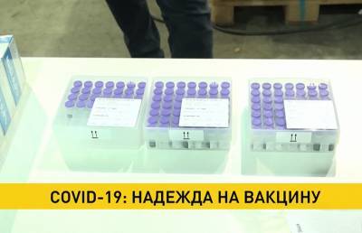 Прививки от COVID-19 в мире уже сделали почти три миллиона человек - ont.by - Украина - Сша - Англия