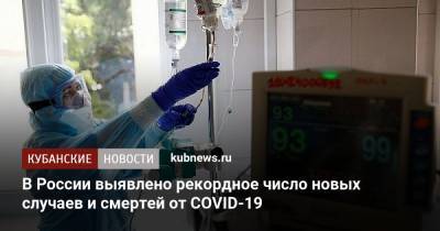 В России выявлено рекордное число новых случаев и смертей от COVID-19 - kubnews.ru - Россия