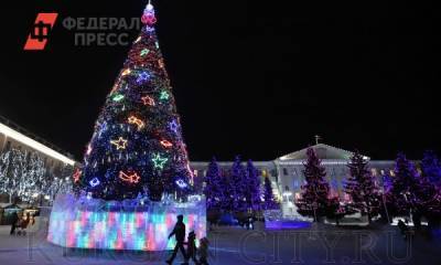 На новогоднее украшение Кургана потратили 16,8 млн рублей - fedpress.ru