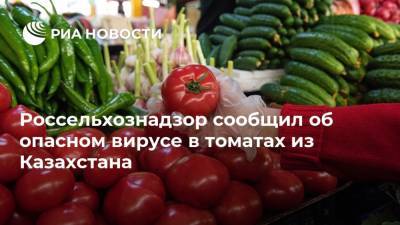 Россельхознадзор сообщил об опасном вирусе в томатах из Казахстана - ria.ru - Россия - Москва - Казахстан
