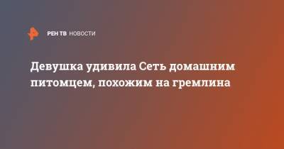 Девушка удивила Сеть домашним питомцем, похожим на гремлина - ren.tv
