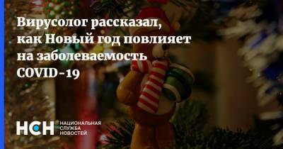 Вирусолог рассказал, как Новый год повлияет на заболеваемость COVID-19 - nsn.fm - Россия - Москва