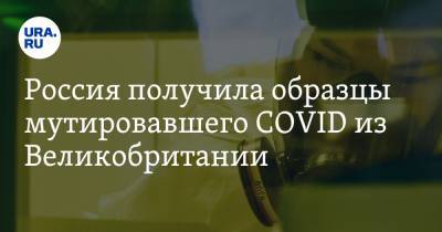Мария Захарова - Россия получила образцы мутировавшего COVID из Великобритании - ura.news - Россия - Англия