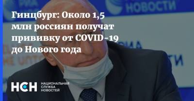 Александр Гинцбург - Гинцбург: Около 1,5 млн россиян получат прививку от COVID-19 до Нового года - nsn.fm - Россия