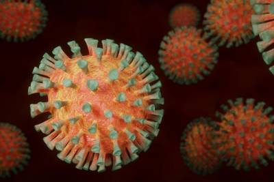В Германии зафиксирован первый случай заболевания британским штаммом коронавируса - mk.ru - Англия - Германия