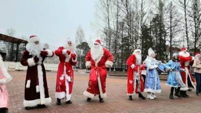 Во Всеволожске пройдет шествие дедов Морозов - ivbg.ru - Украина - Всеволожск