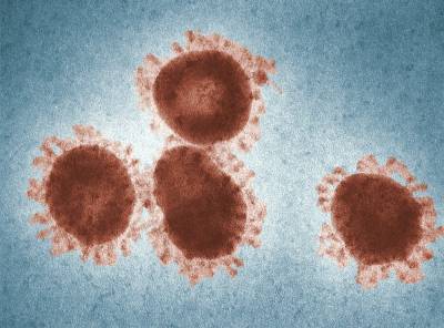 Новый штамм коронавируса добрался до Германии - 24tv.ua - Англия - Германия