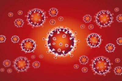 Выявлен новый более агрессивный штамм коронавируса из ЮАР - infox.ru - Юар