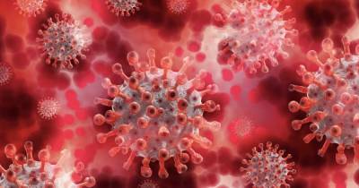 Джон Нкенгасонг - Новый штамм коронавируса обнаружили в Нигерии - ren.tv - Англия - Юар - Нигерия
