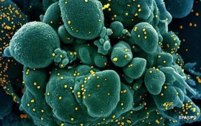 Особую мутацию коронавируса выявили в Нигерии - korrespondent.net - Англия - Юар - Нигерия