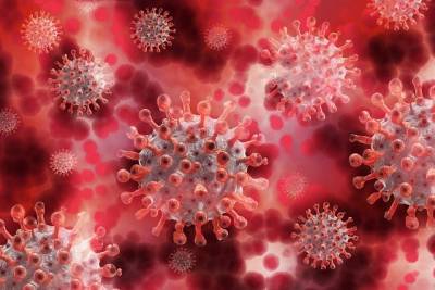 Джон Нкенгасонг - Новый штамм коронавируса выявили в Нигерии - neva.today - Англия - Нигерия
