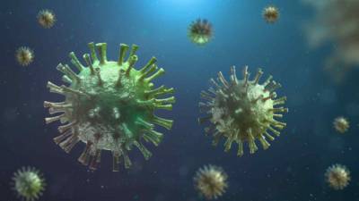 Джон Нкенгасонг - Новый штамм коронавируса обнаружили ученые в Нигерии - live24.ru - Англия - Нигерия