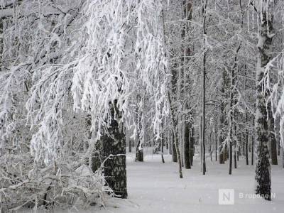 Потепление до -2°С и снегопады придут в Нижний Новгород в выходные - vgoroden.ru - Нижний Новгород