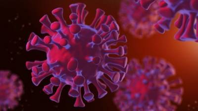 Джон Нкенгасонг - Новую мутацию коронавируса выявили в Нигерии - 5-tv.ru - Англия - Юар - Нигерия