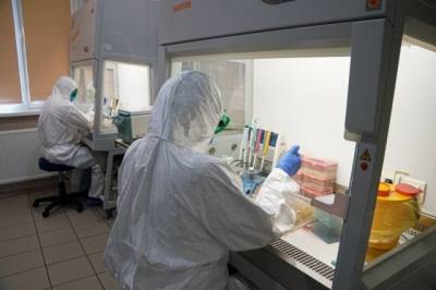 В России за сутки выявили 29 018 случаев заражения коронавирусом - aif.ru - Россия