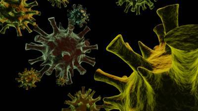 Мутации коронавируса расползаются по миру. Уже появилось три варианта - anna-news.info - Англия - Юар - Нигерия