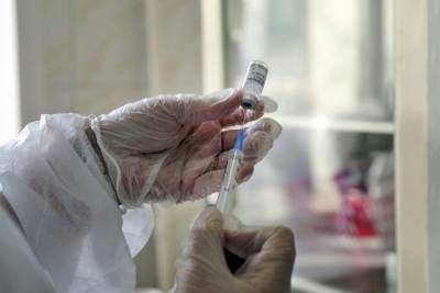 "Никакой побочки": Гинцбург рассказал об исследовании вакцины на пожилых людях - tvc.ru