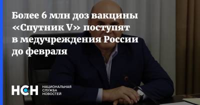 Михаил Мишустин - Более 6 млн доз вакцины «Спутник V» поступят в медучреждения России до февраля - nsn.fm - Россия