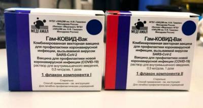 Переболеть COVID-19 или привиться? Вся правда о вакцине от коронавируса - ru.armeniasputnik.am