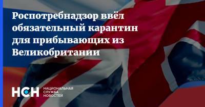 Анна Попова - Роспотребнадзор ввёл обязательный карантин для прибывающих из Великобритании - nsn.fm - Россия - Англия - Ирландия