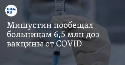 Михаил Мишустин - Мишустин пообещал больницам 6,5 млн доз вакцины от COVID - ura.news - Россия