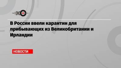 Анна Попова - В России ввели карантин для прибывающих из Великобритании и Ирландии - echo.msk.ru - Россия - Англия - Ирландия