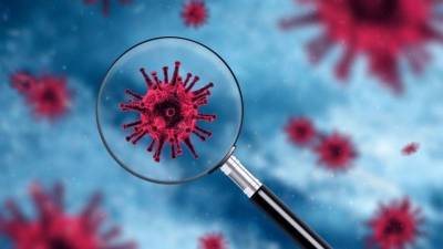 Ханс Клюге - ВОЗ: Британский штамм коронавируса выявлен в восьми странах Европы - 5-tv.ru - Англия